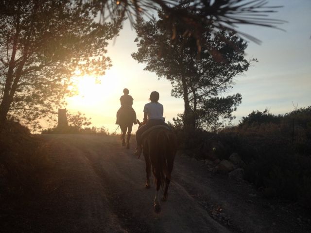 horsey ibiza