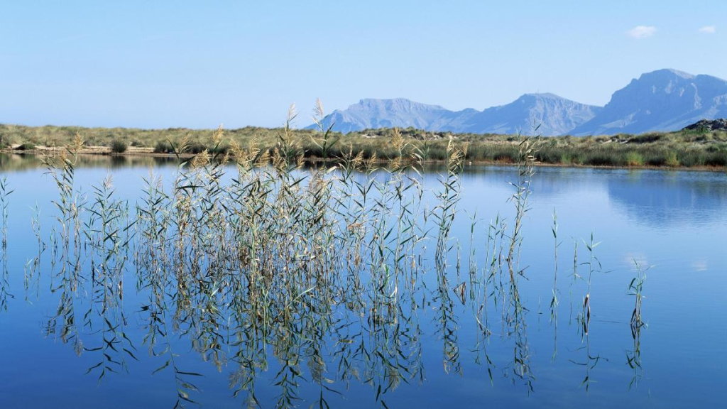 Los Parques Naturales Protegidos de Ibiza que Debes Conocer