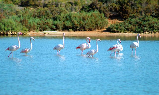 parks ibiza1
