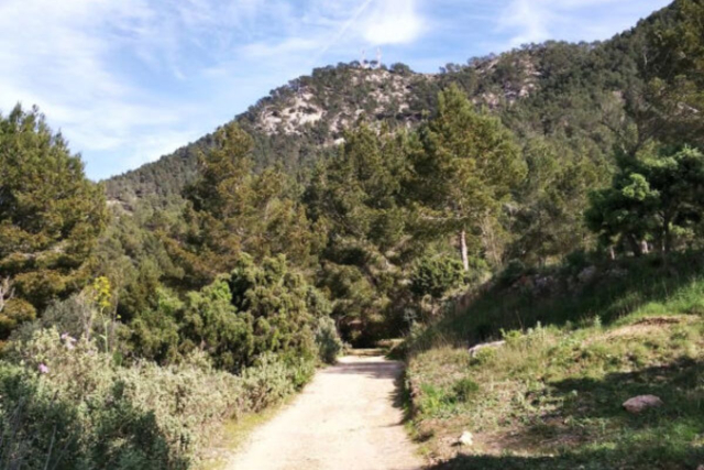 Vista de Sa Talaia, el punto más alto de Ibiza, con paisajes montañosos y costa al fondo