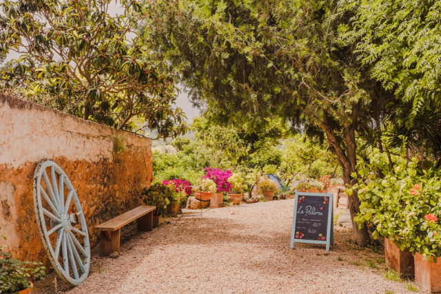 Paloma Cafe in Ibiza