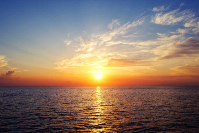 Cala Nova al amanecer con vegetación y arena dorada en Ibiza